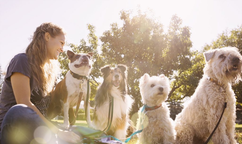 How not to be lonely when you move to the country