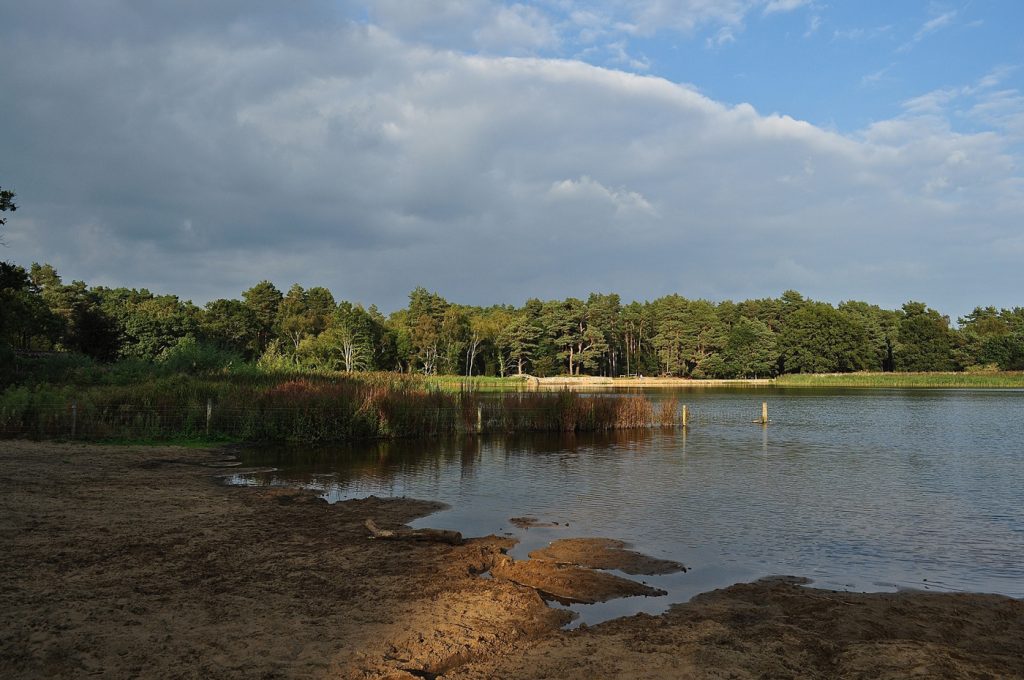 What its like to live in....Frensham