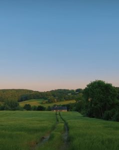 View of Petersfield