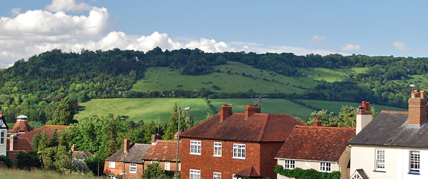 Dorking