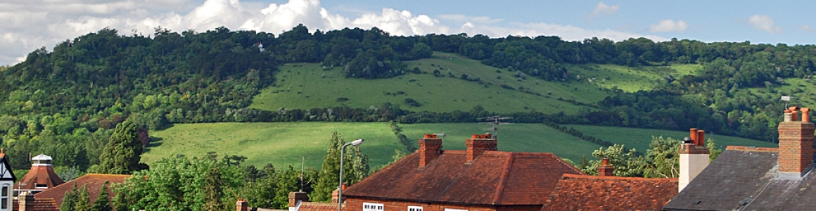 visit-dorking